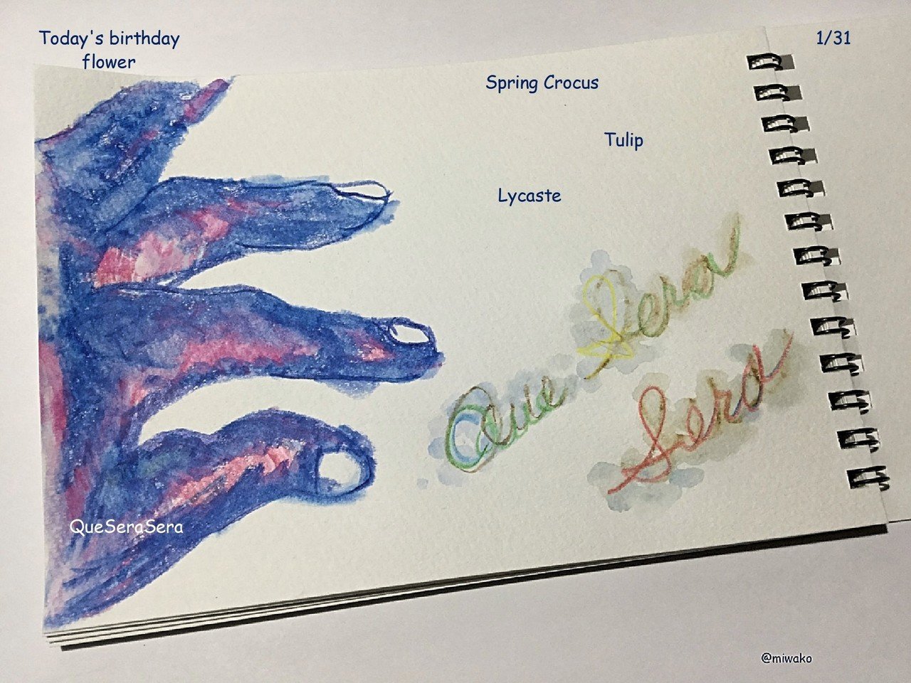誕生花1 31 Miwako Note