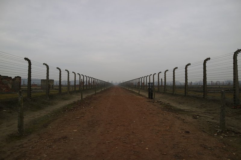 アウシュビッツ ガス室を生きて出た人 雷藤たわん トリックアーティスト ひる休みの自由研究 Note