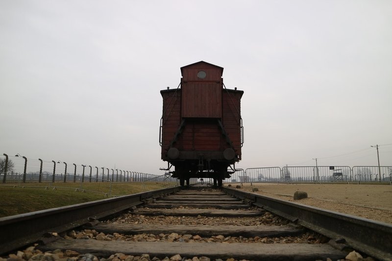 アウシュビッツ ガス室を生きて出た人 雷藤たわん トリックアーティスト ひる休みの自由研究 Note