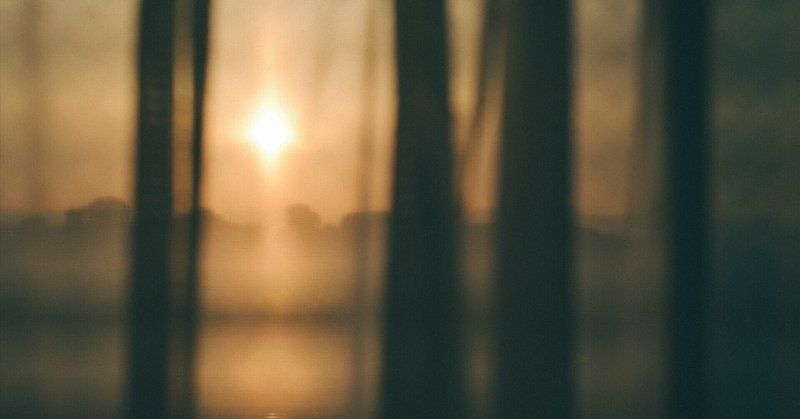 レンズ沼の歩き方」Ai Nikkor 28mm F2.8 / Nikkor Z 28mm F2.8 レンズ沼の歩き方」Ai Nikkor 28mm F2.8 / Nikkor Z 28mm F2.8
