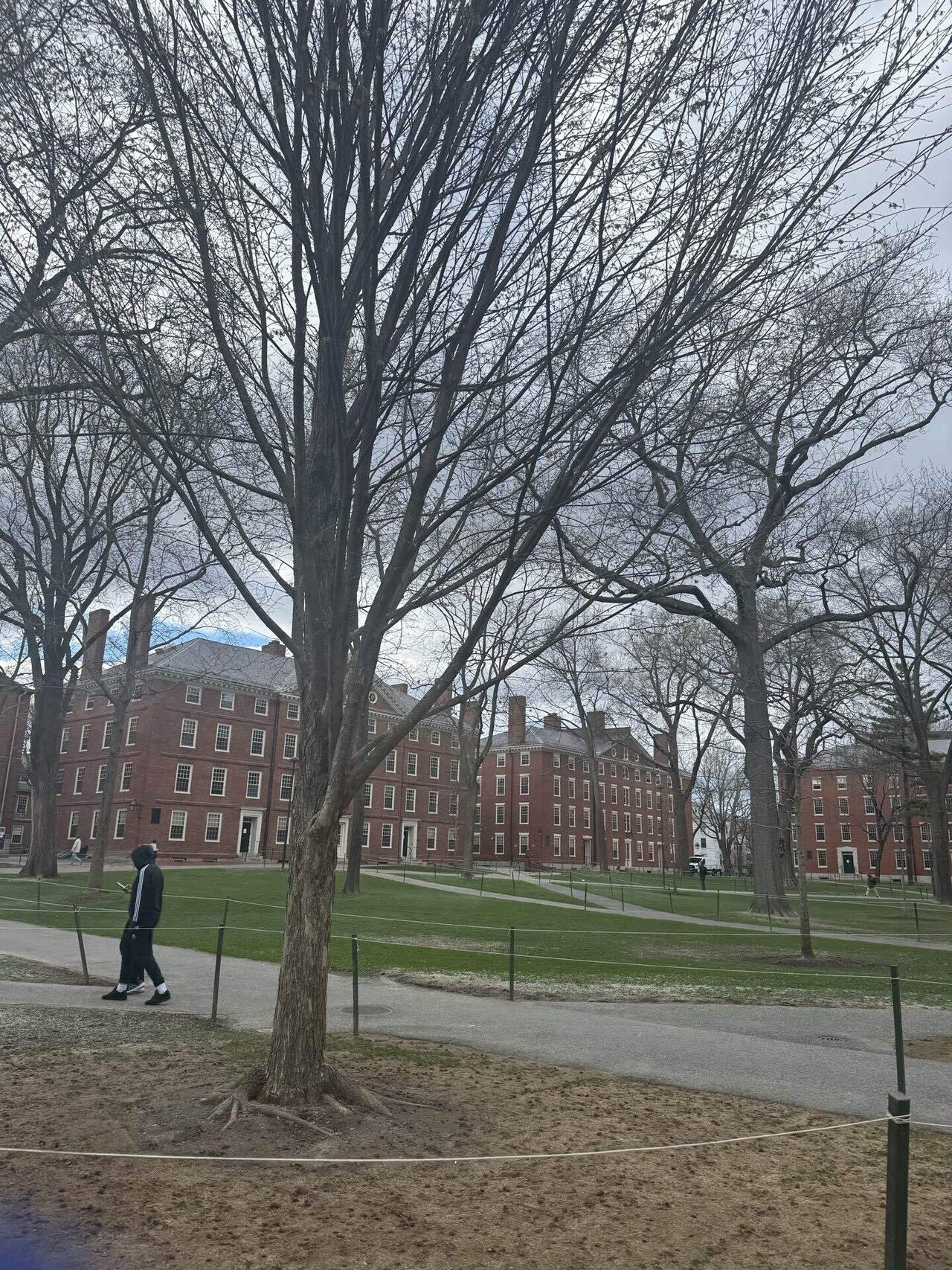 ボストンで困ってます】ハーバード大学を闊歩してきた｜ノアゼット
