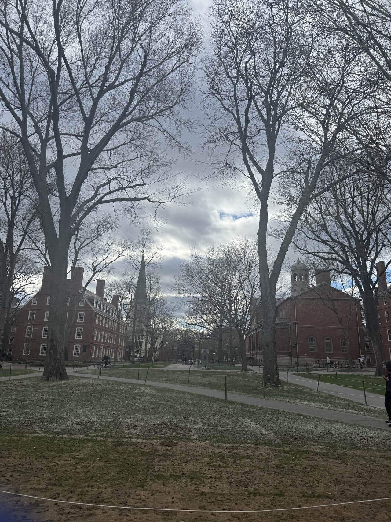 ボストンで困ってます】ハーバード大学を闊歩してきた｜ノアゼット