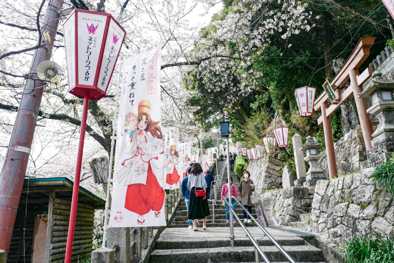 770【福井】恋の宮 桜の備忘録｜旅するフォトマガジン MとW