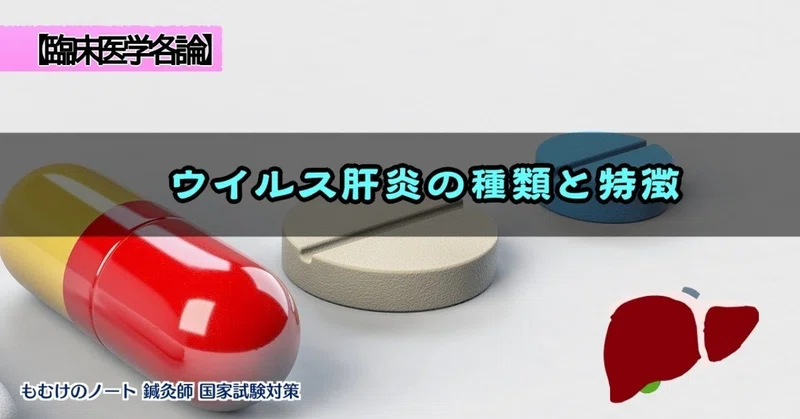 臨床医学各論 ゴロとイメージで覚えるウイルス肝炎の種類と特徴 森元塾 国家試験対策 Note