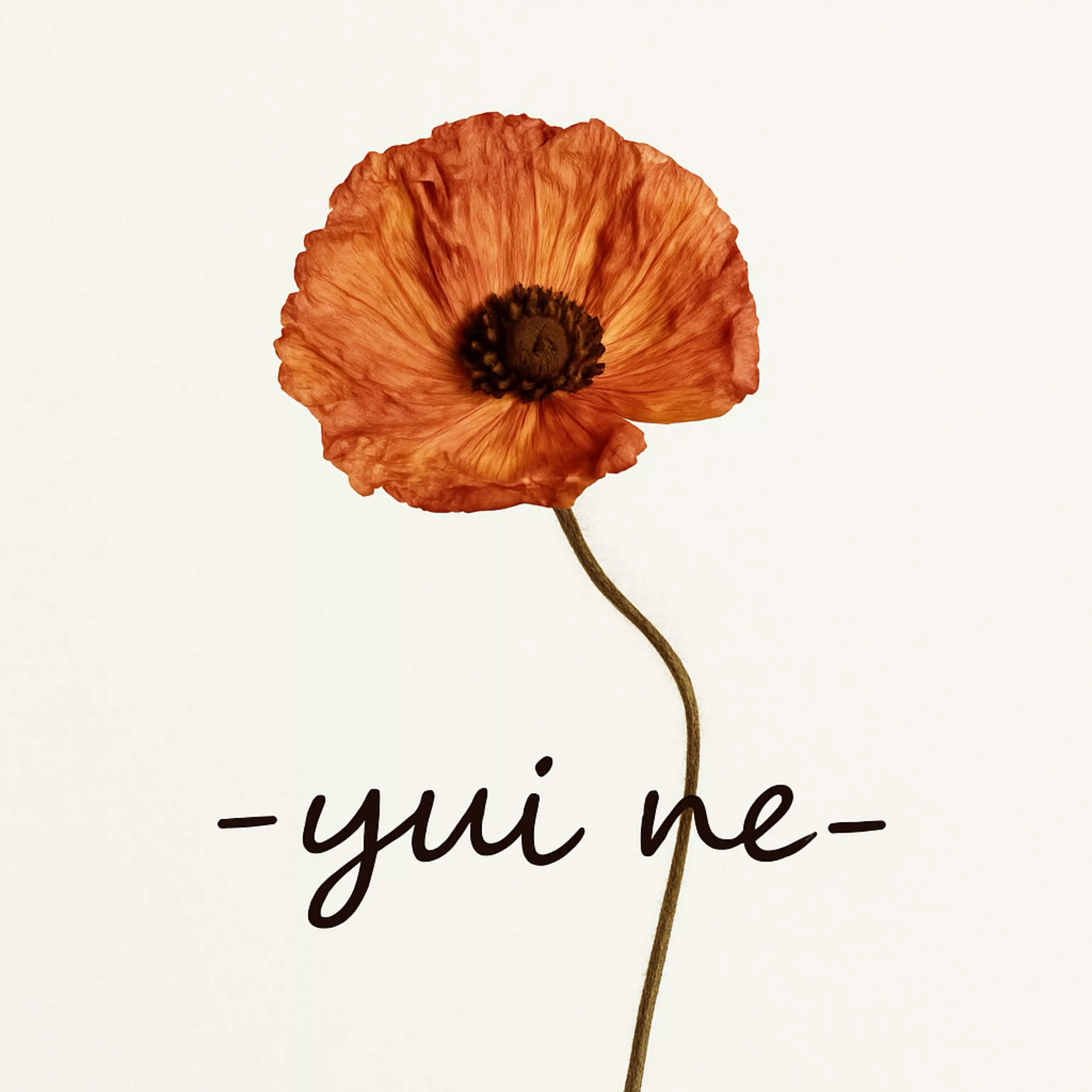 -yui ne-
