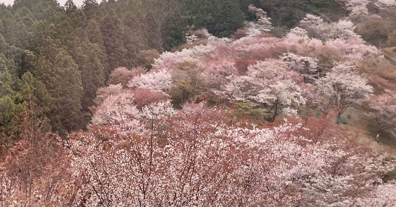桜と風景の日本画・長命寺之境内 桜と風景の日本画・長命寺之境内 - メルカリ