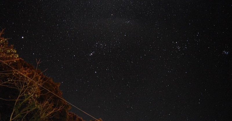 スタートレック ピカードを見たけど 思った以上に面白かった 酒ねこ ワクワク人生 Note