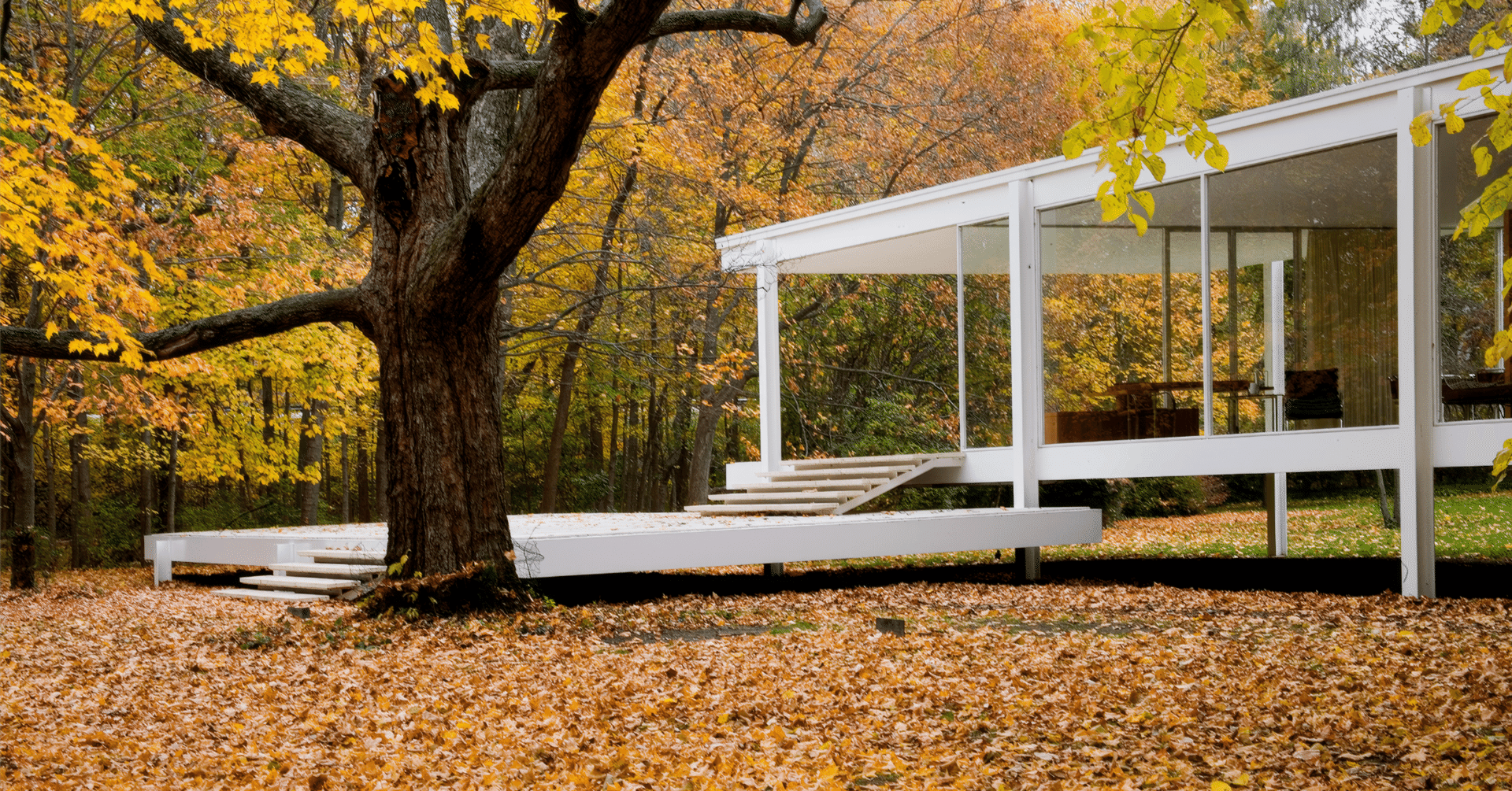 ミース・ファン・デル・ローエ 🏛️ミース・ファン・デル・ローエってどんな人？「Less is More