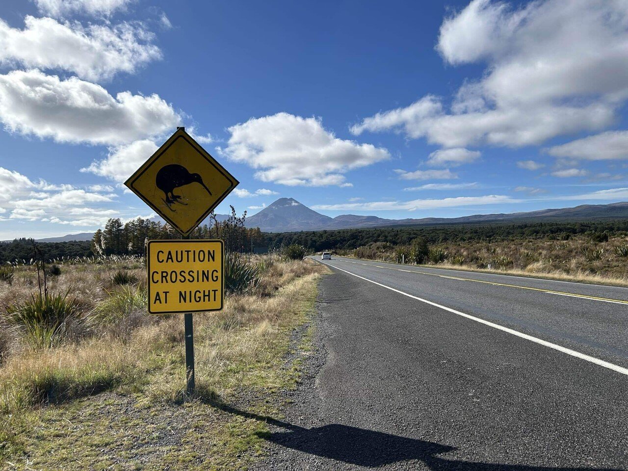 世界一周 day380【NZ北島🇳🇿ロードトリップday3】~世界一周新婚旅行~｜TK