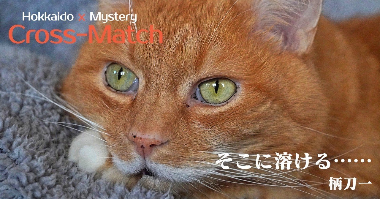 そこに溶ける 北海道ミステリークロスマッチ Note そこに溶ける 北海道ミステリークロスマッチ Note