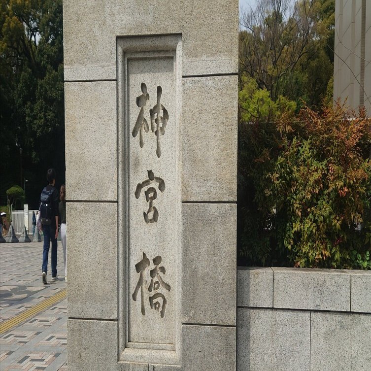 明治神宮 初参拝｜セリ ／龍神様との日常