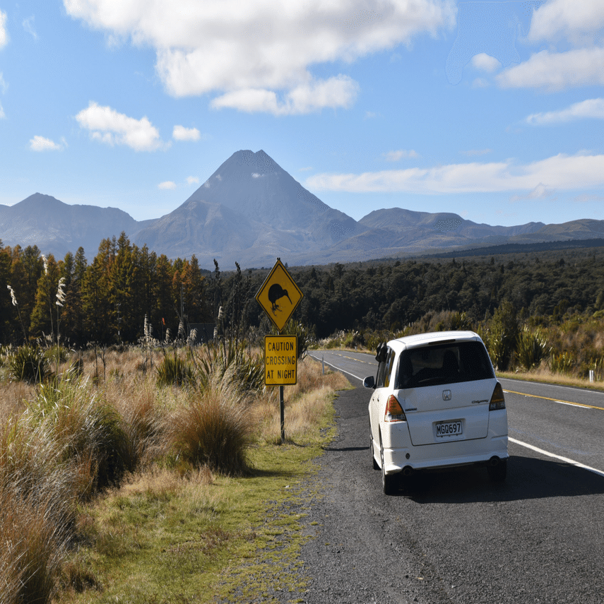 世界一周 day380【NZ北島🇳🇿ロードトリップday3】~世界一周新婚旅行~｜TK