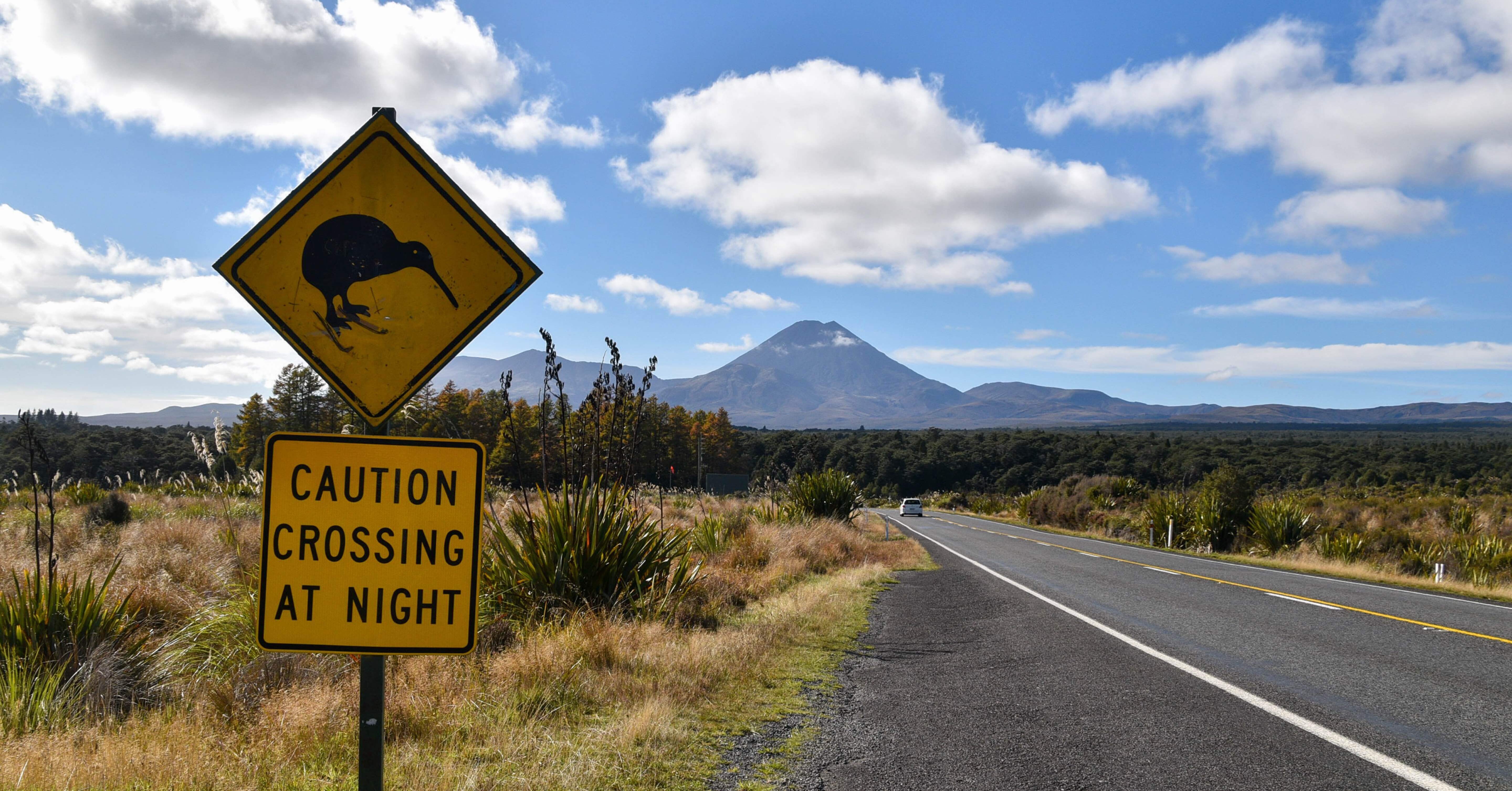 世界一周 day380【NZ北島🇳🇿ロードトリップday3】~世界一周新婚旅行~｜TK