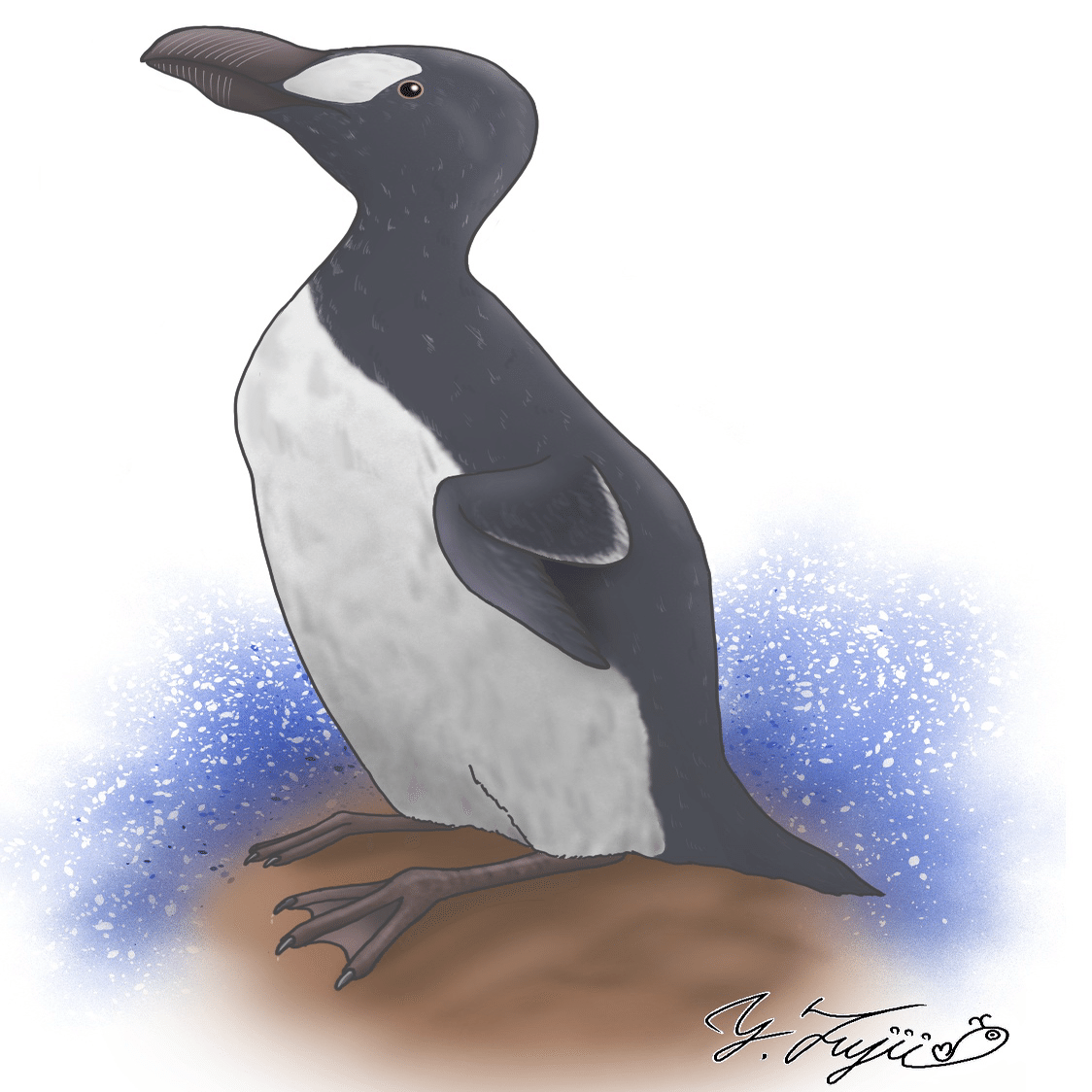 ペンギン ハーモニーキングダム❤︎1995年イギリス作家PCの最高傑作選品 かつて存在した“ペンギン”の話 〜世界ペンギンの日〜｜桂浜水族館 公式