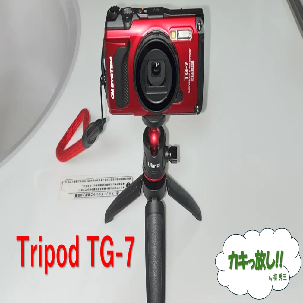 0526.Toripod TG-7｜柳 秀三