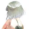こはる/ 揺らぎと輪郭