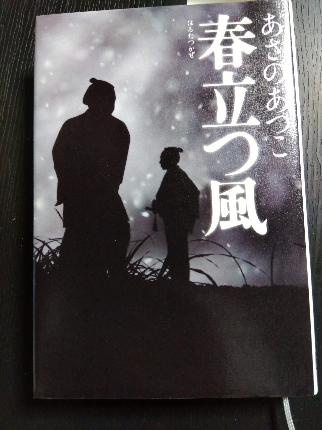 Amazon.co.jp: 春立つ風 「弥勒」シリーズ 電子書籍: あさの