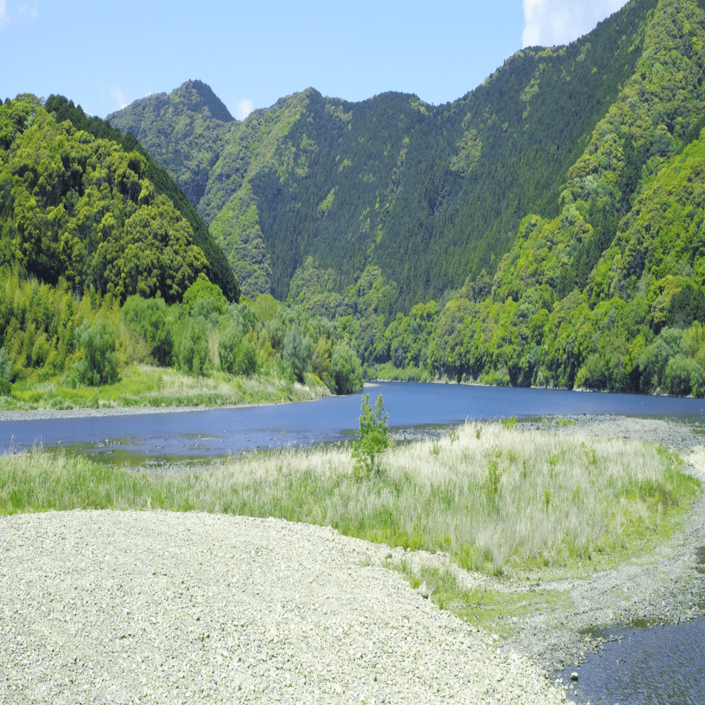 ChatGPT o3を用いた先行技術調査（プロンプト付）｜角渕由英（つのぶち