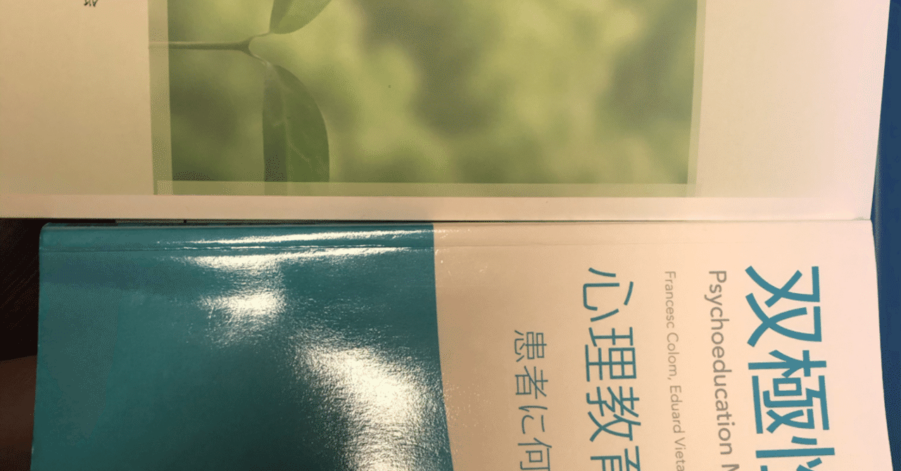 双極症の心理教育キャス ネット心理教育 について 布団ちゃん Note