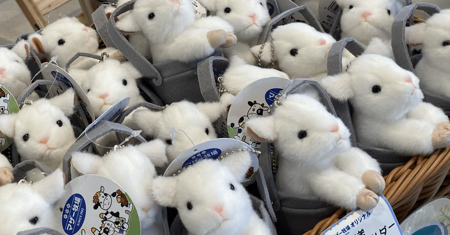 🐏マザー牧場（おかわり）｜夏みかん