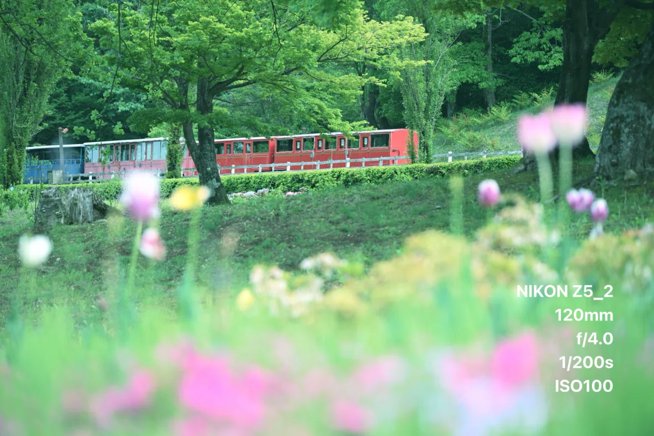 Nikon Z5II × NIKKOR Z 24-120 F4 S｜然ーZenー