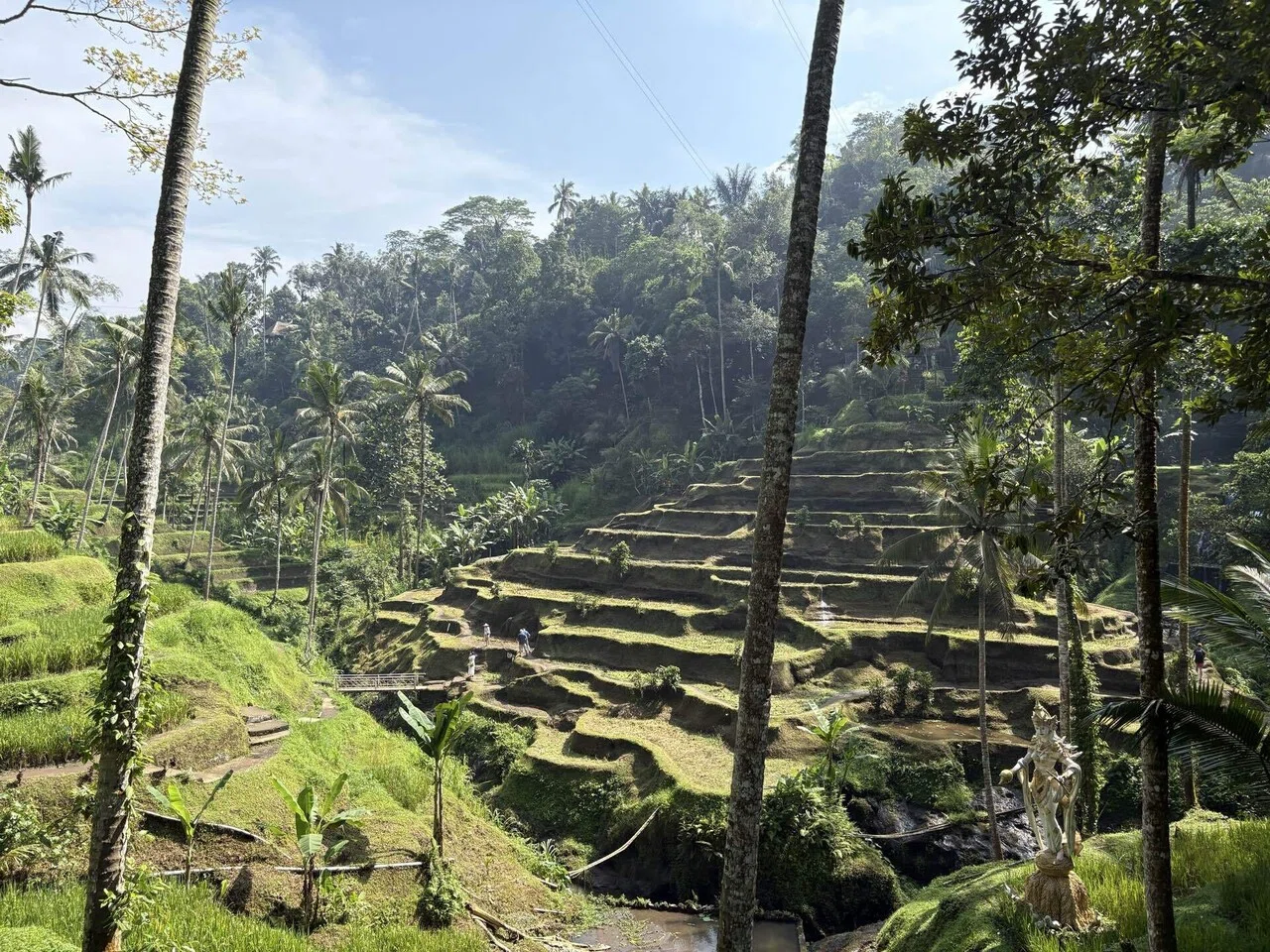 男の一人旅 バリ島・ウブド🇮🇩編③｜SOYSAUCEMAN