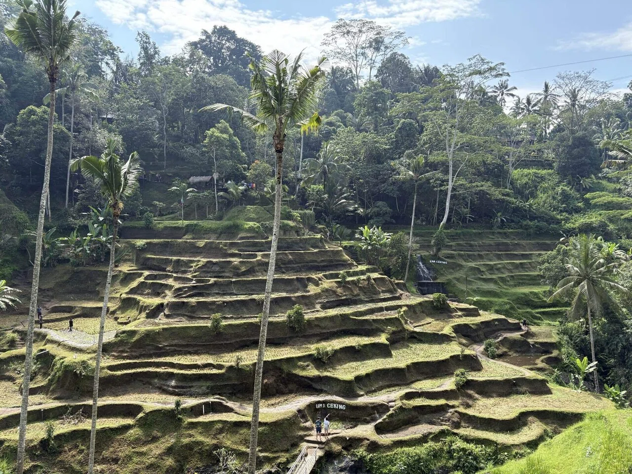 男の一人旅 バリ島・ウブド🇮🇩編③｜SOYSAUCEMAN