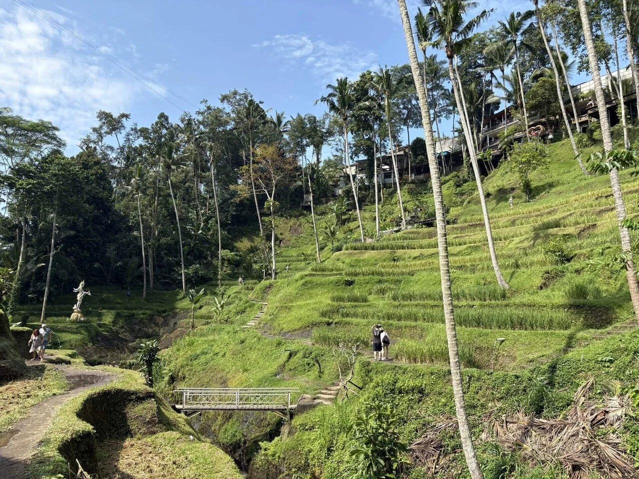 男の一人旅 バリ島・ウブド🇮🇩編③｜SOYSAUCEMAN