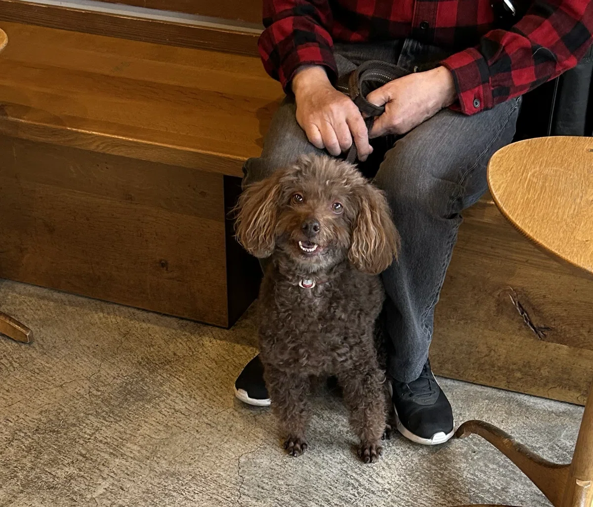Walking with a Dog: 10th Month Follow-up｜Kako S