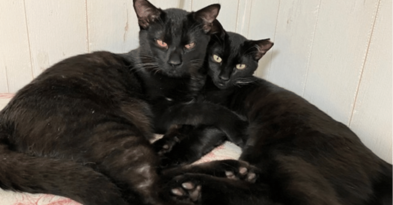 Dir en greyと似ているといわれていたバンドたち｜ラウド好きならP@DTM