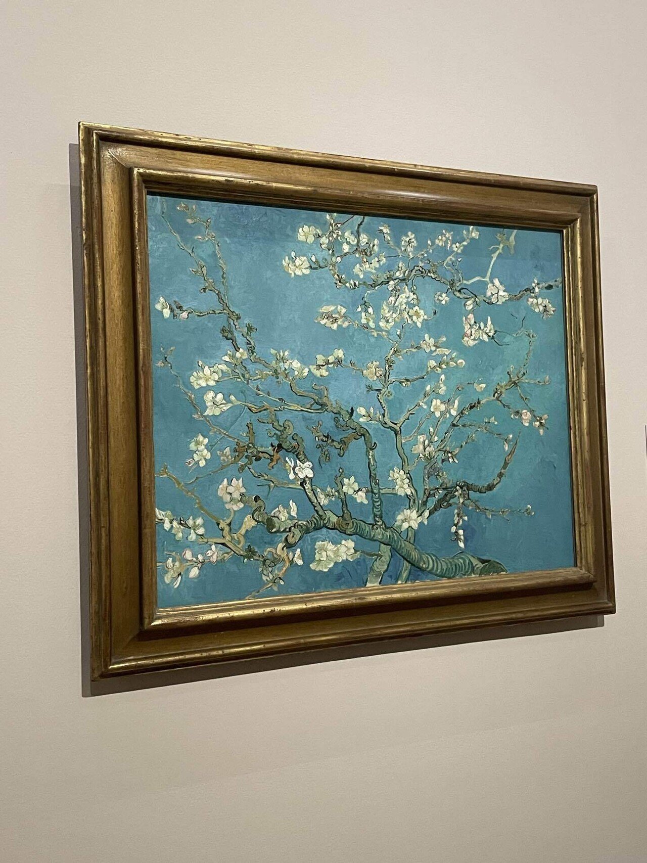 オランダ旅行】🎨 アムステルダムで芸術にひたる！ゴッホ美術館＆国立