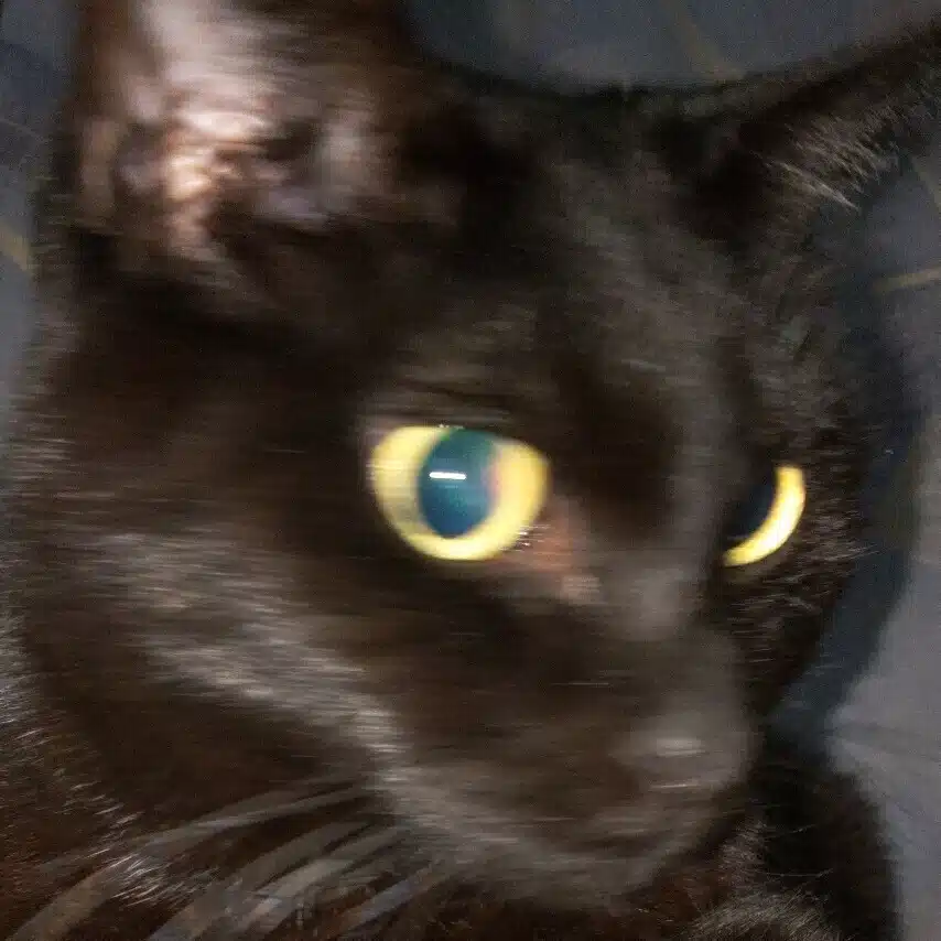 riejie