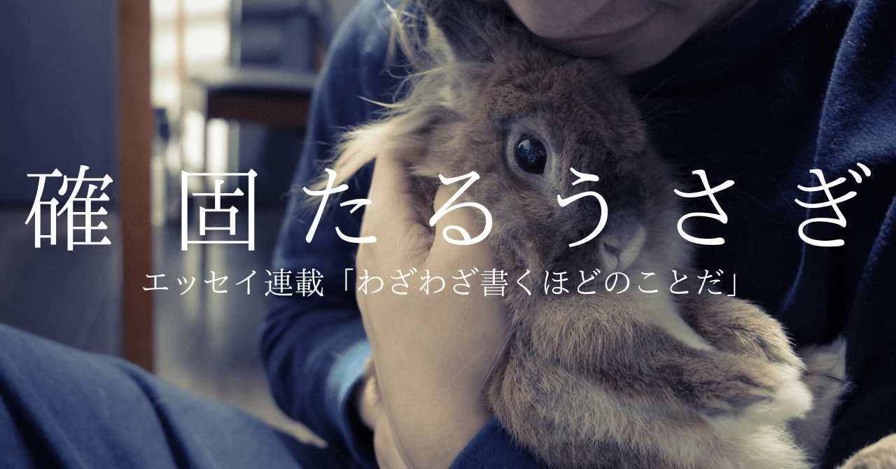 確固たるうさぎ｜長瀬ほのか