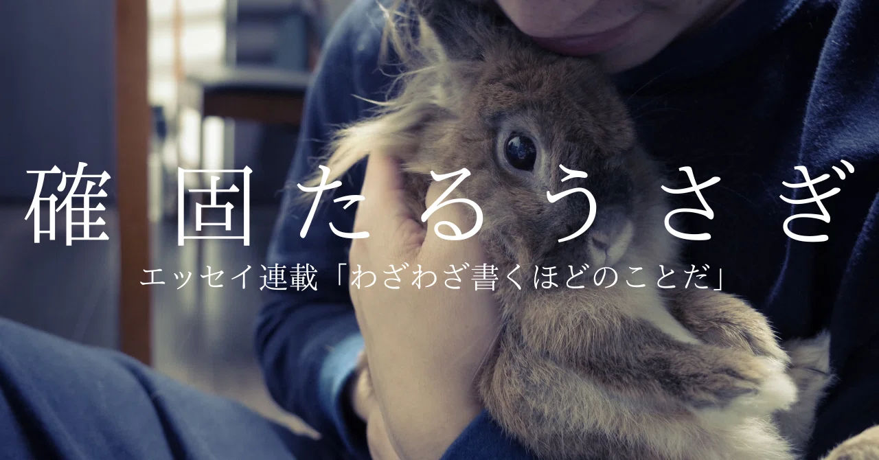 確固たるうさぎ｜長瀬ほのか