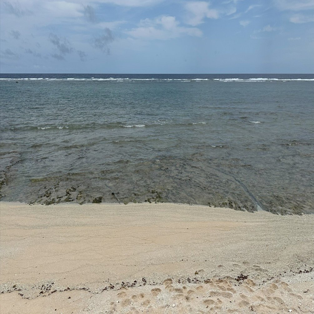 大幅】沖縄久高島のシーサー【値下げ】 2025年最新】久高島の人気