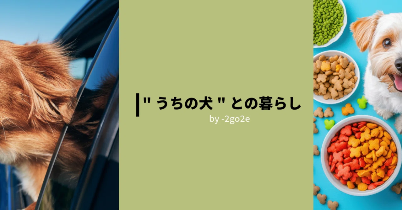 2go_2e｜note