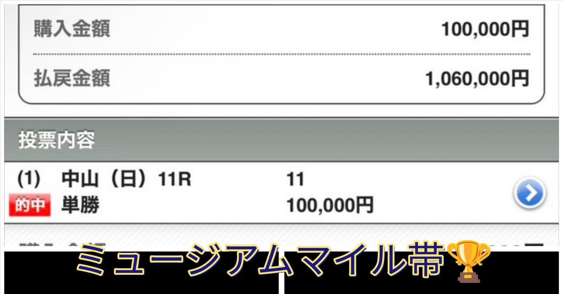 ◎シュヴァルグラン　現地単勝馬券　毎日杯・自己条件レース単勝的中馬券◎ 現地購入単勝馬券 2018年 天皇賞(春) シュヴァルグラン 1番人気2