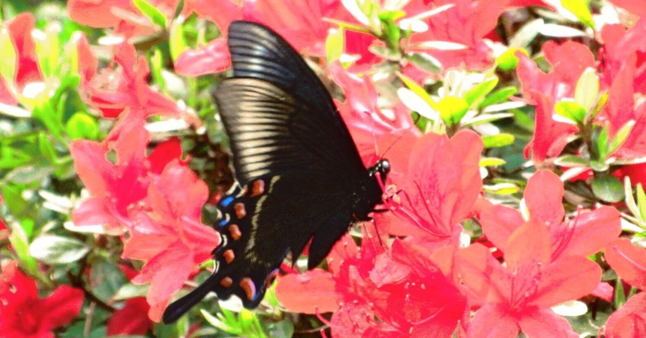 rectangle_large_type_2_ffe1573