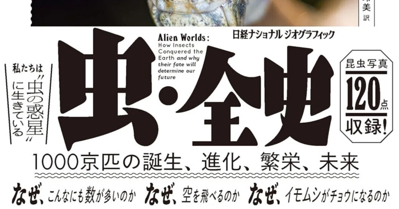 書籍『虫・全史 1000京匹の誕生、進化、繁栄、未来』｜STARLET
