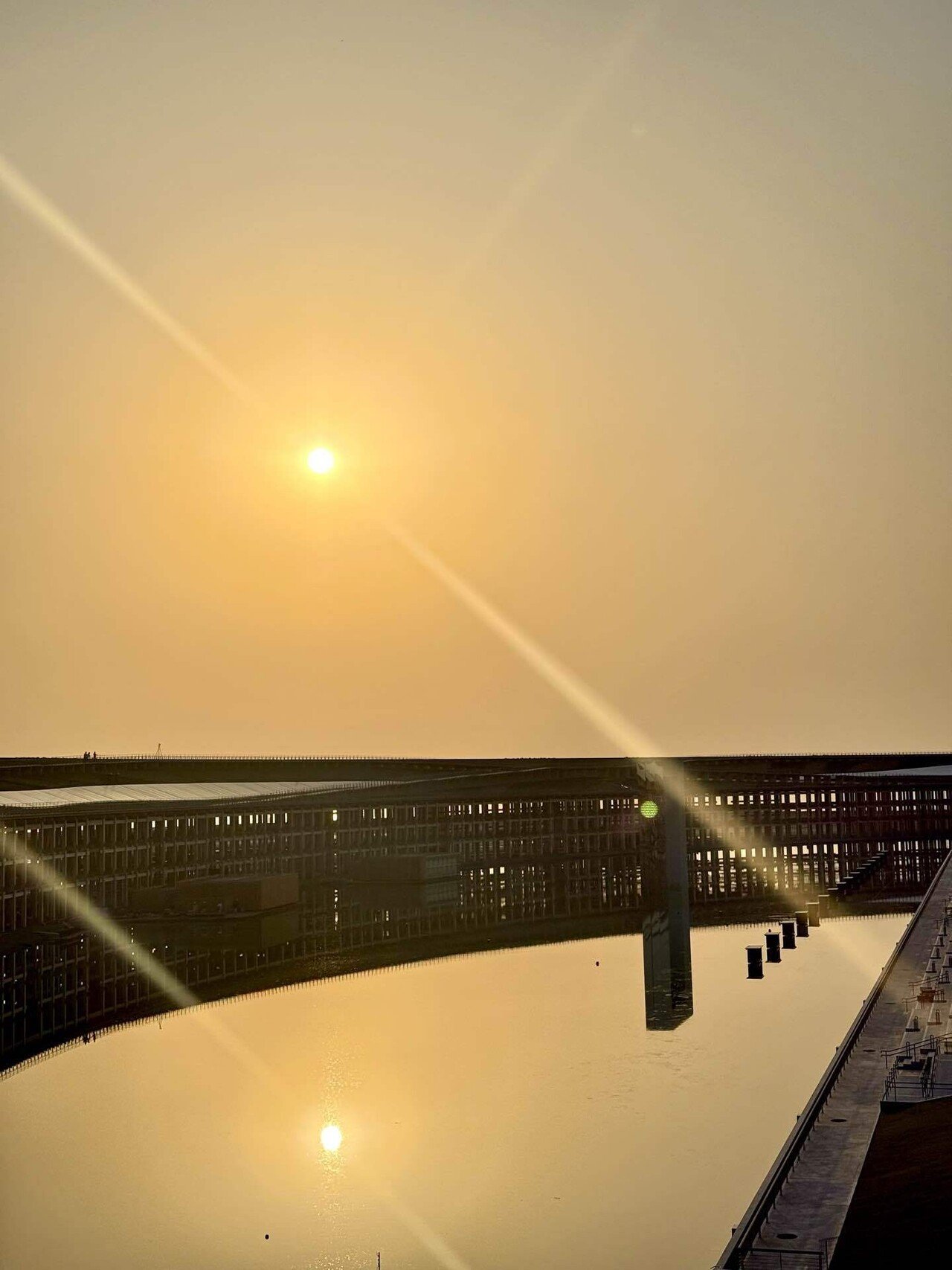 未来につながる森 [EXPO2025 静けさの森 アートプロジェクト]｜宮田裕章