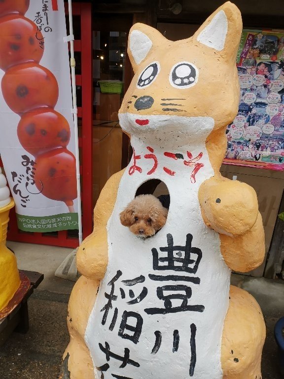 豊川稲荷は日本三大稲荷の一つで商売の神様｜かとしん