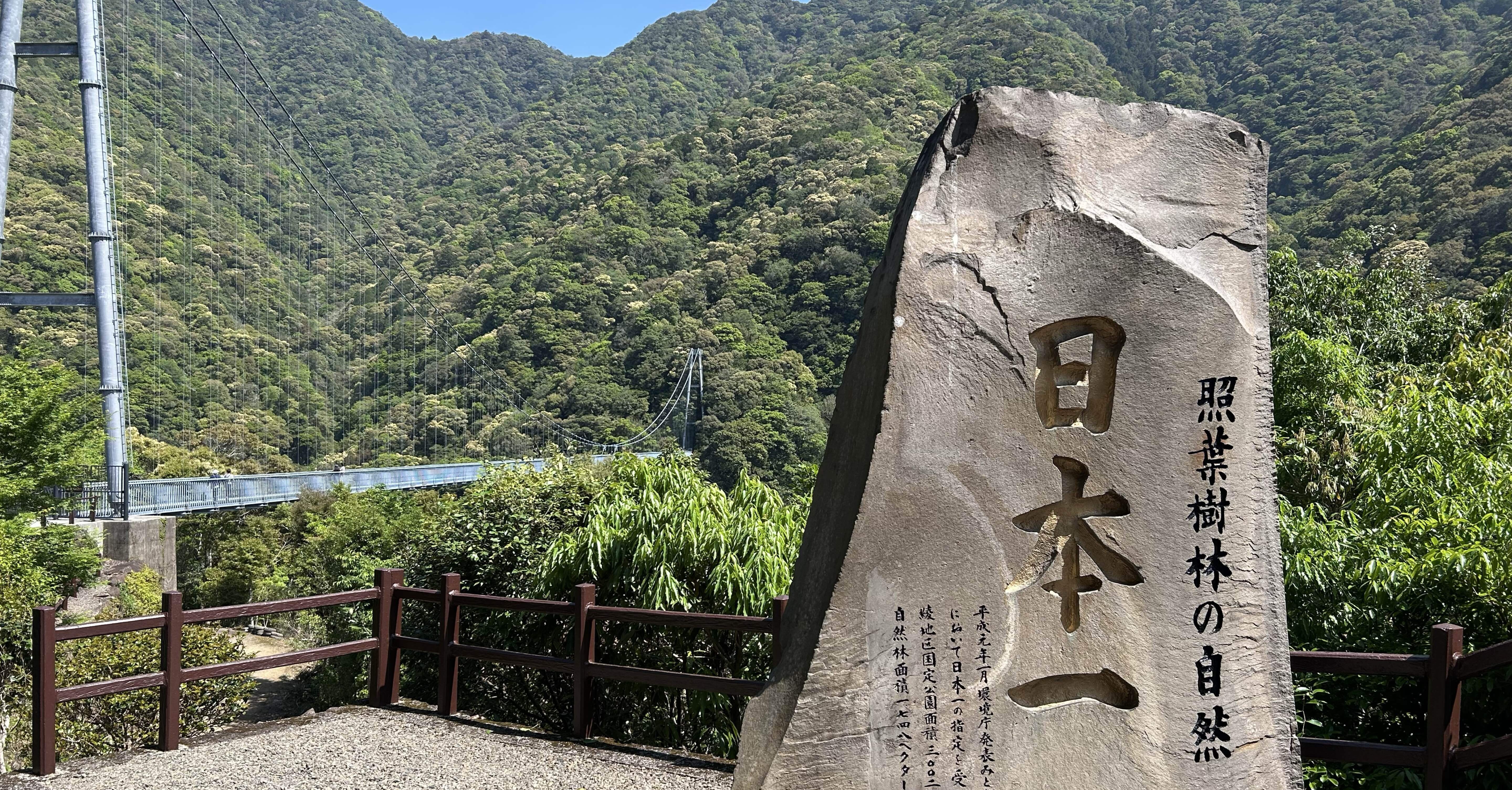 第18回綾町・照葉短歌賞｜太田葵