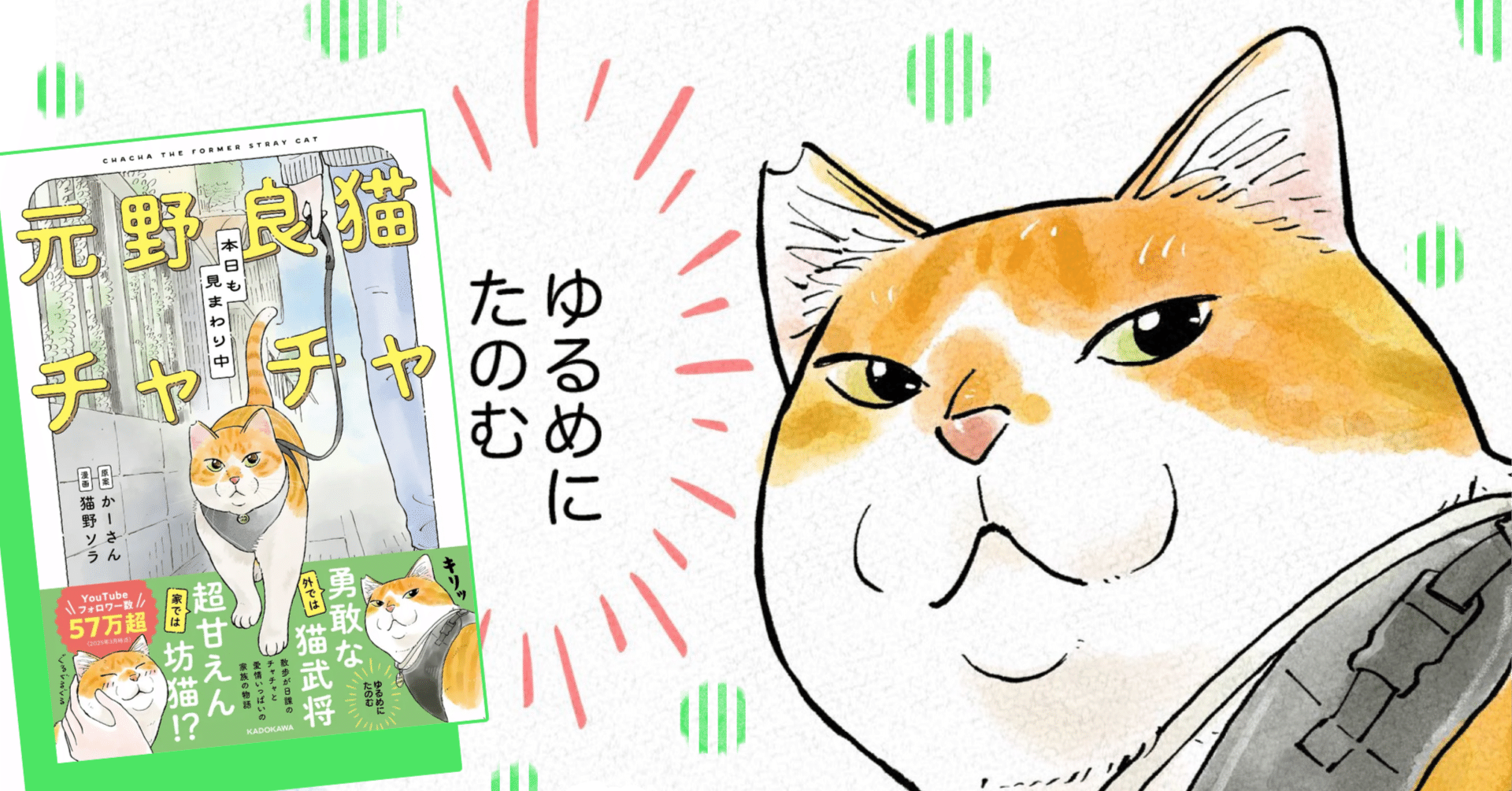 【ネコソラページ】 猫野ソラ｜note