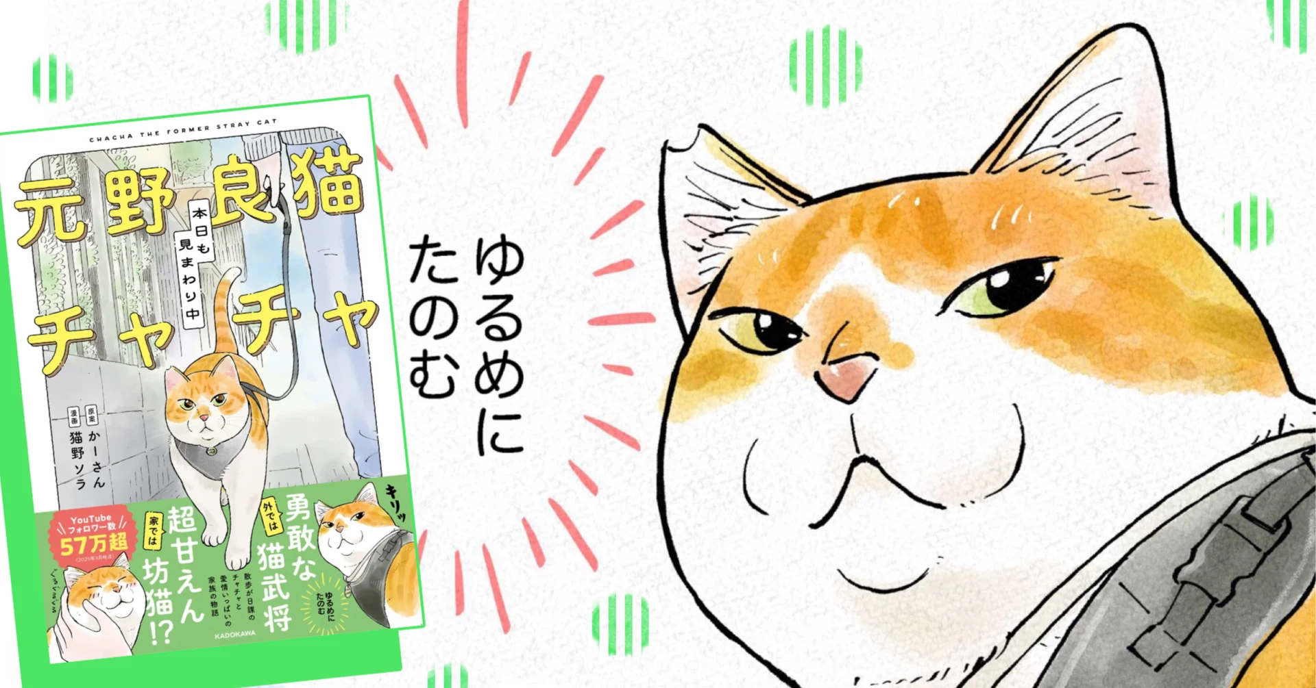 【ネコソラページ】 猫野ソラ｜note