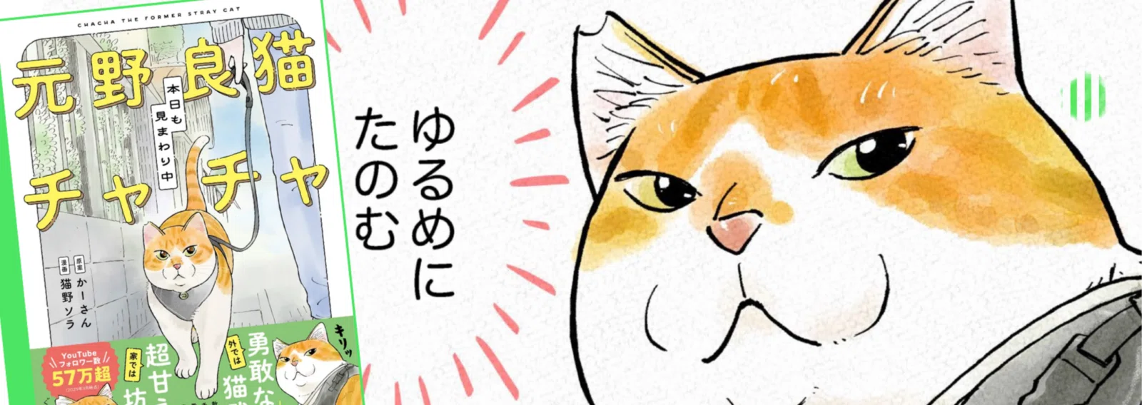 猫野ソラ｜note