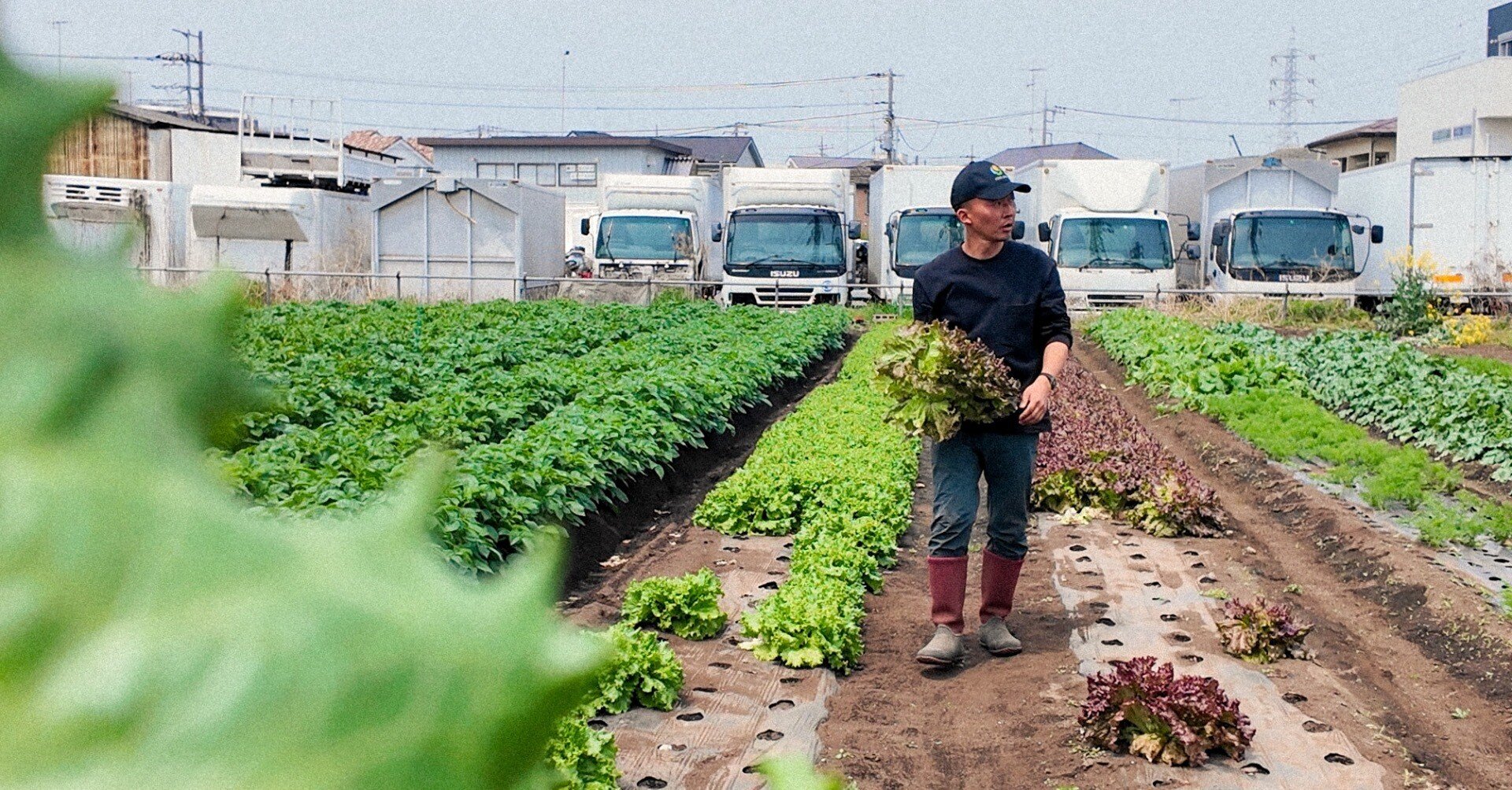 都市の再生と農の力 大きな街の小さな農園から 小さな農業の可能性 古木さんの取材を終えて｜伊東菜々子｜神奈川犬の