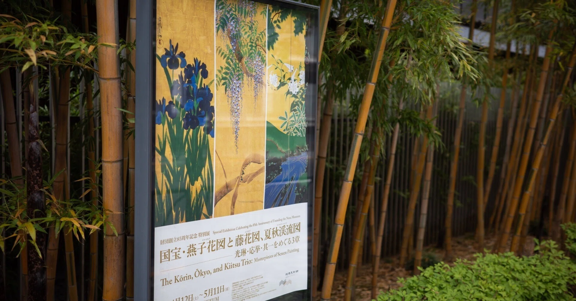 決まりました!!素敵な方に❗ロマンチック 藤の屏風 藤の花を愛でに根津美術館へ｜無為の茶客 | Kazuo Yoshida