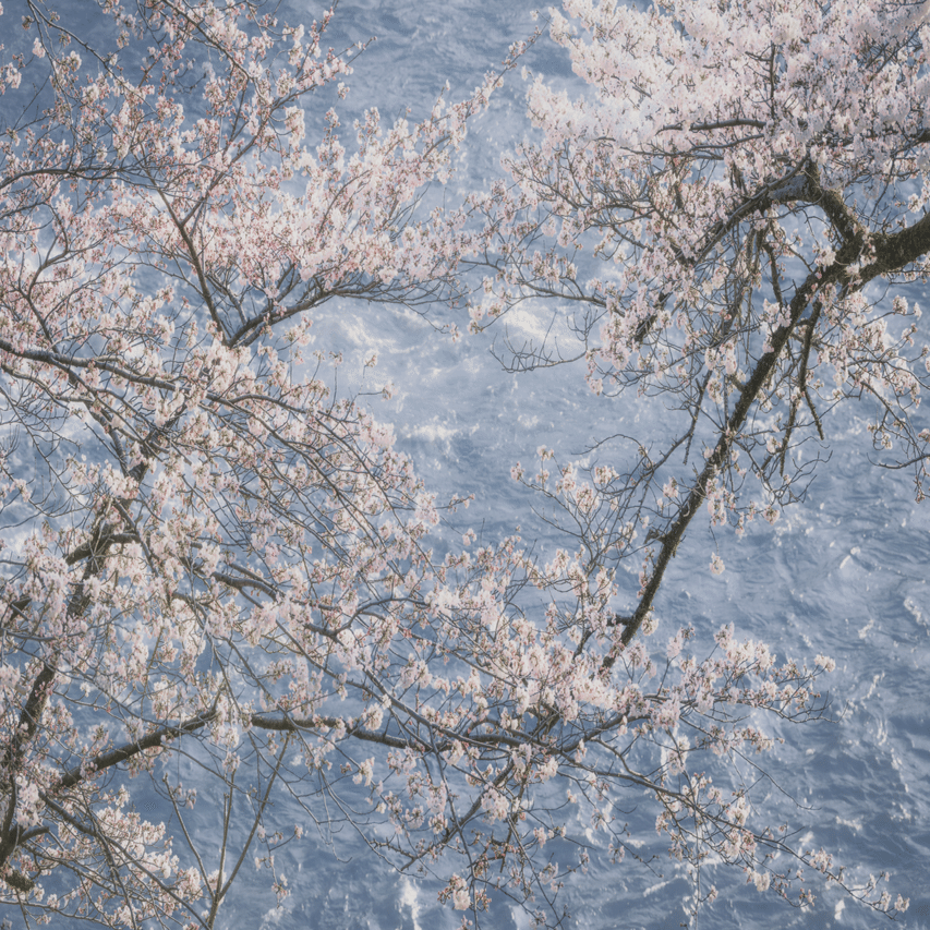 私がなぜ人に自然風景写真を教えたいと思ったのか。｜Yuki Kamishima