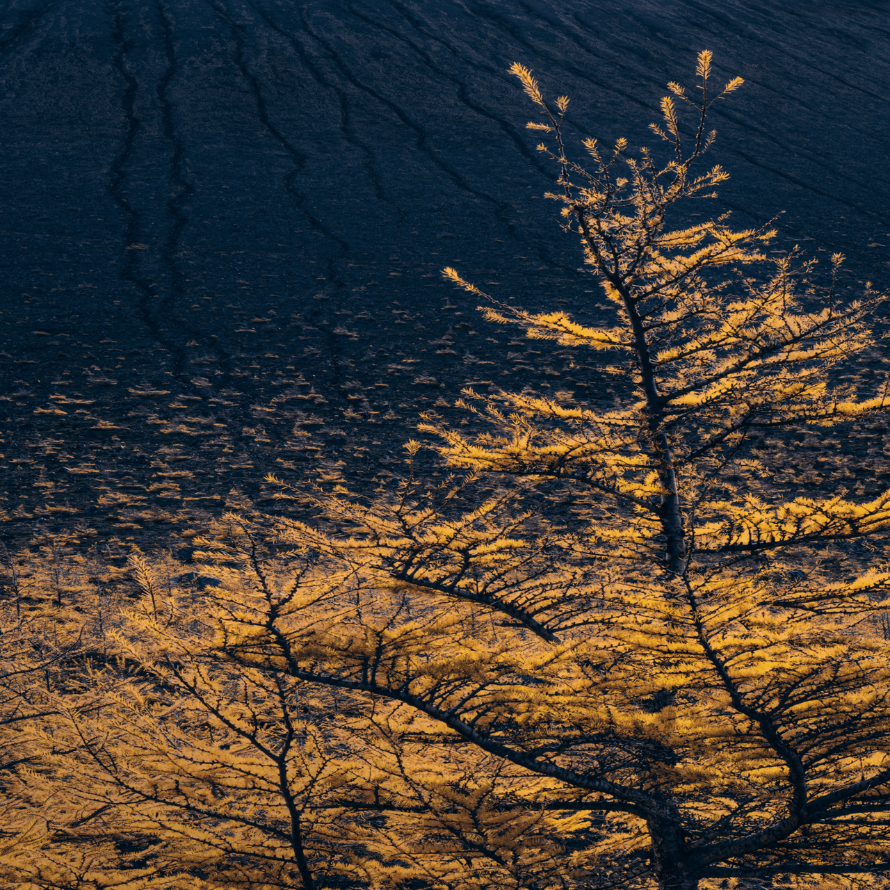 私がなぜ人に自然風景写真を教えたいと思ったのか。｜Yuki Kamishima