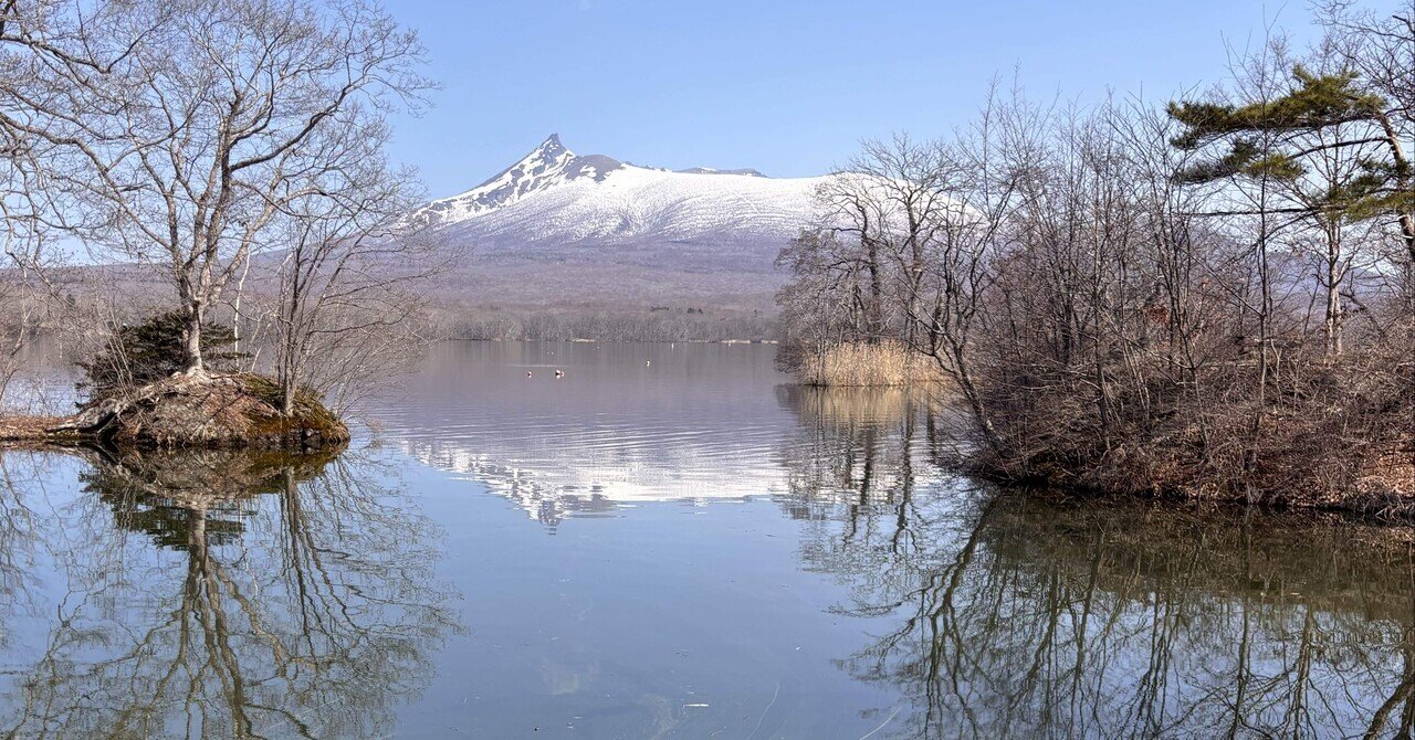 最先端 🇯🇵北海道大沼⛰️壮大な駒ヶ岳1131Ⓜ️を望む🗻大沼国立公園 絵画